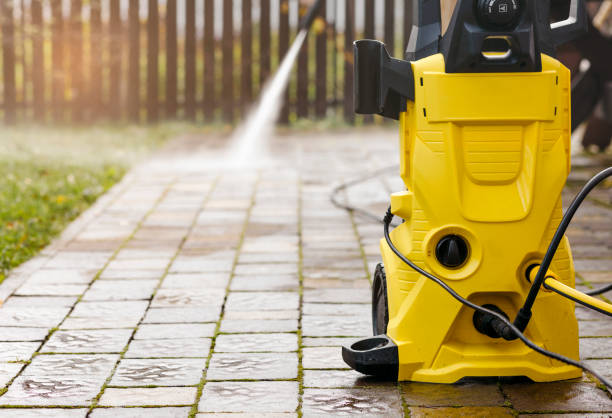 Best Solar Panel Cleaning  in Mayer, MN